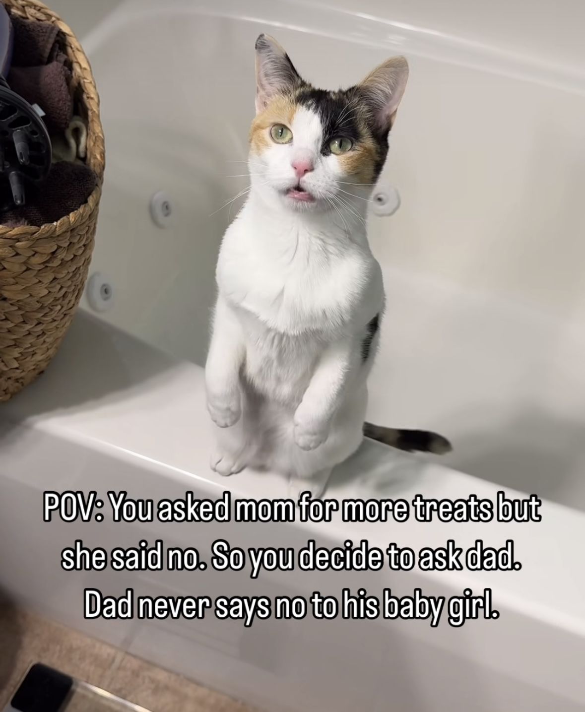 Dad will say yes