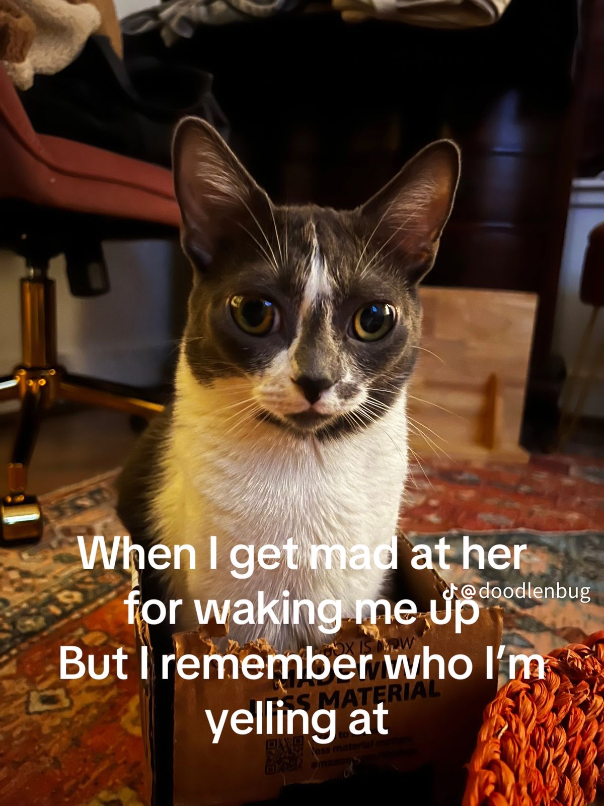 How could you stay mad?