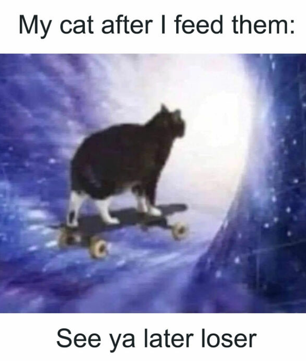 Thanks for the food, loser