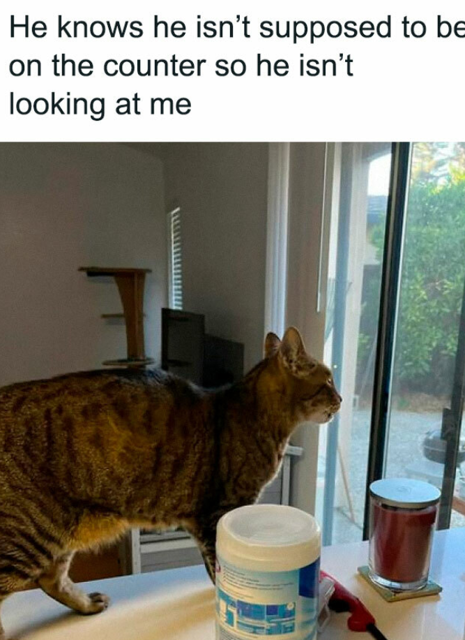 If I can't see you, you can't see me