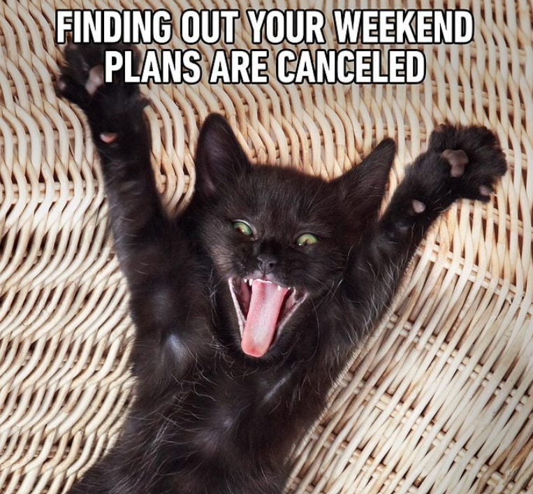 Best news ever
