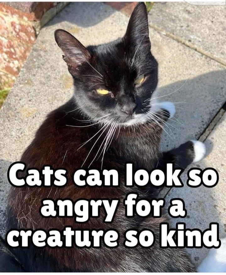 Sweet but slightly terrifying