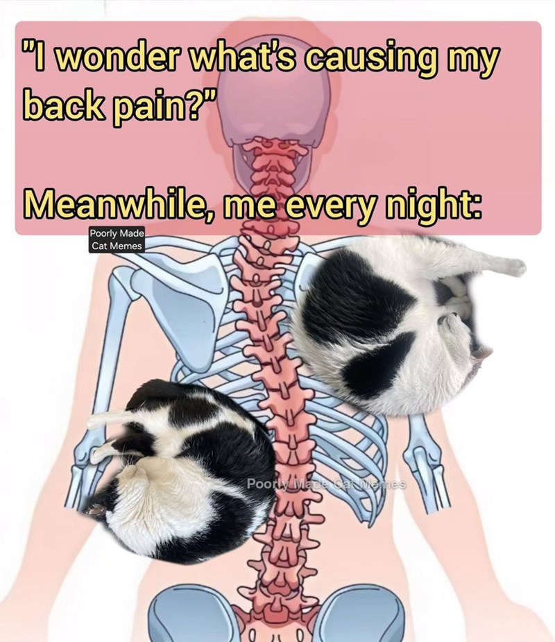 The mystery is solved