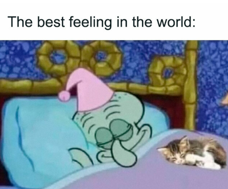 The best sleeping arrangement