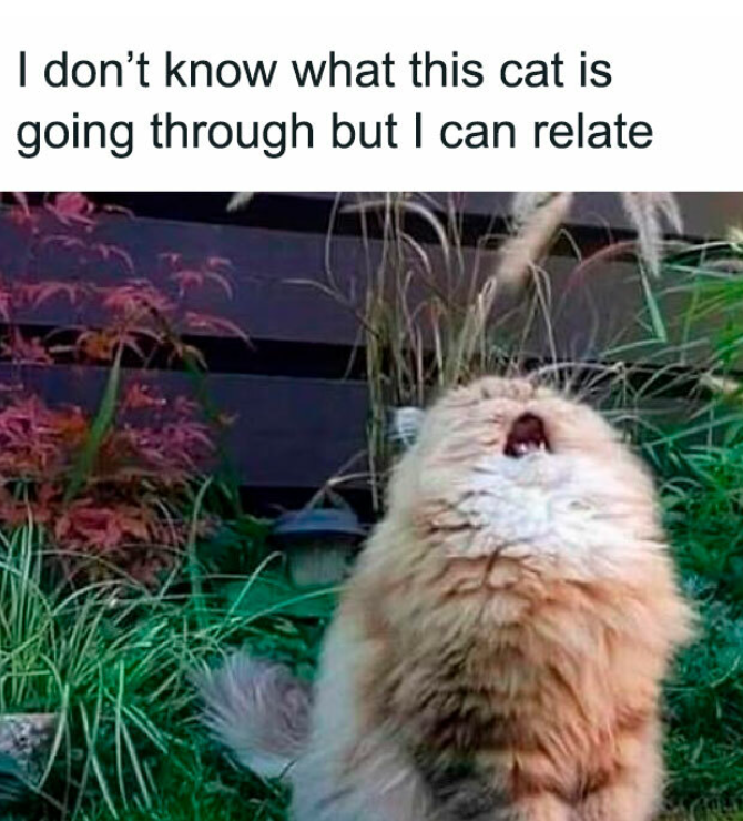 We can all relate