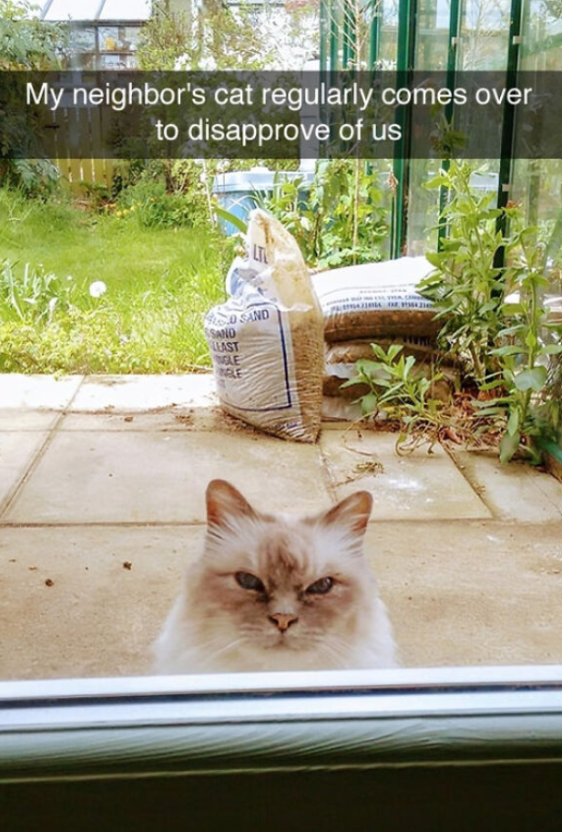 The neighborhood critic