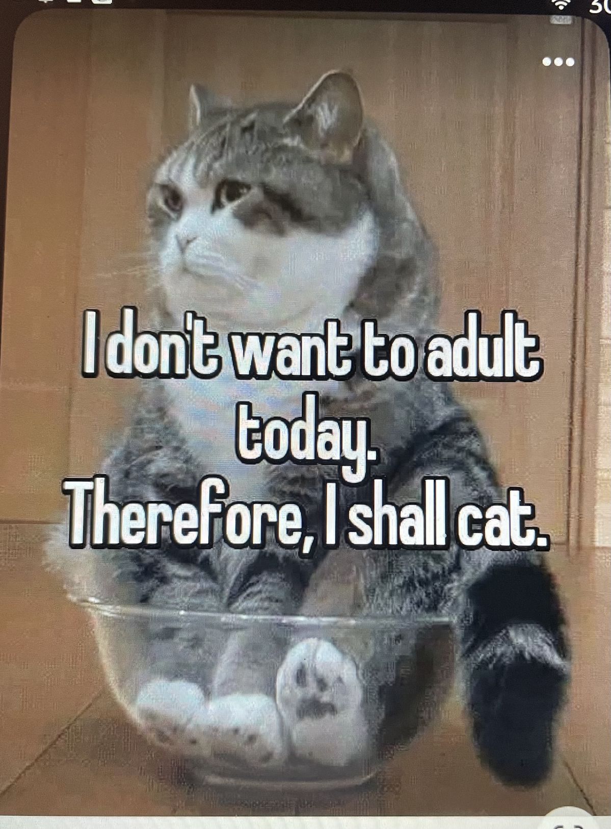 Adulting can wait