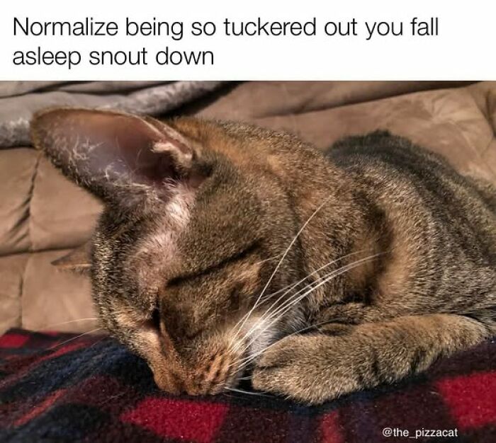 Too tired to function