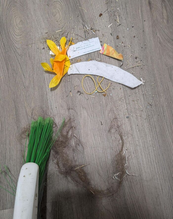 He “Swept and Mopped” Without Actually Cleaning the Floor