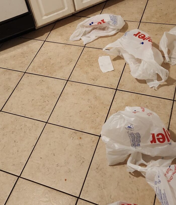 He Put Away the Groceries but Only Some of Them