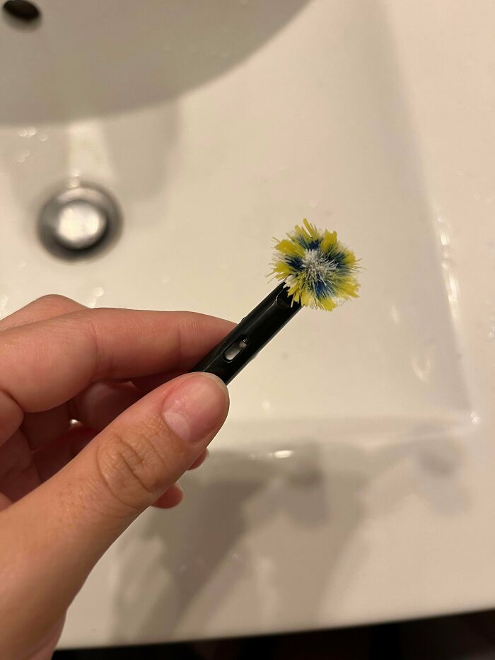He Apparently Decided Toothbrushes Last Forever