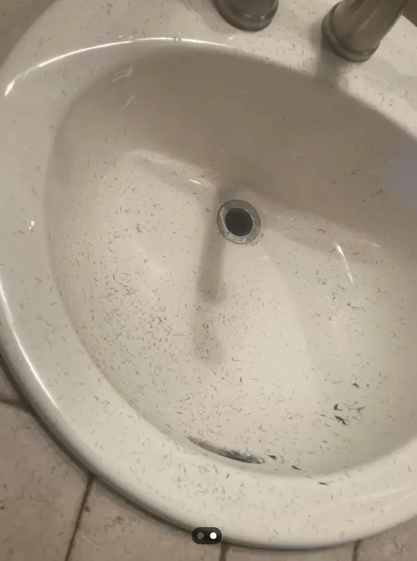 He Left the Sink Covered in Shaving Debris