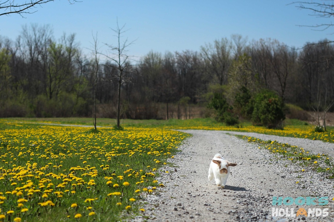Running Toward Absolutely No Responsibilities