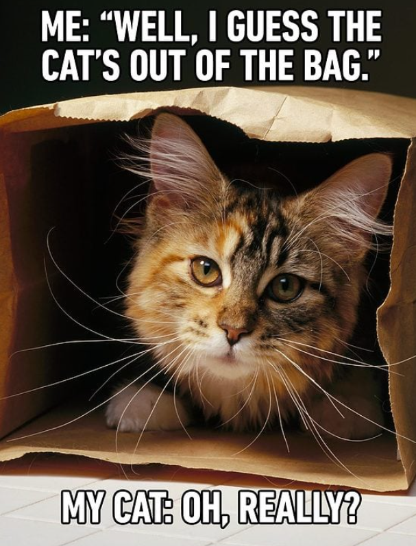 The cat is officially out of the bag