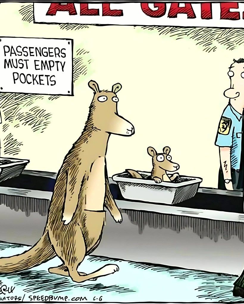 Airport Security For Marsupials