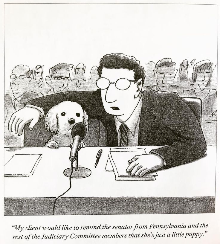 Legal Representation At Its Finest