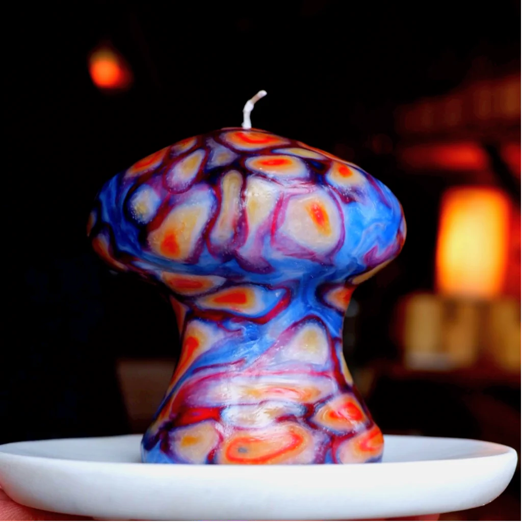 This Mushroom Took A Trip Before You Did