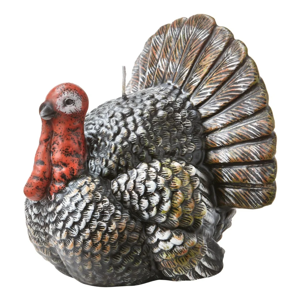 The Thanksgiving Guest Who Overstayed