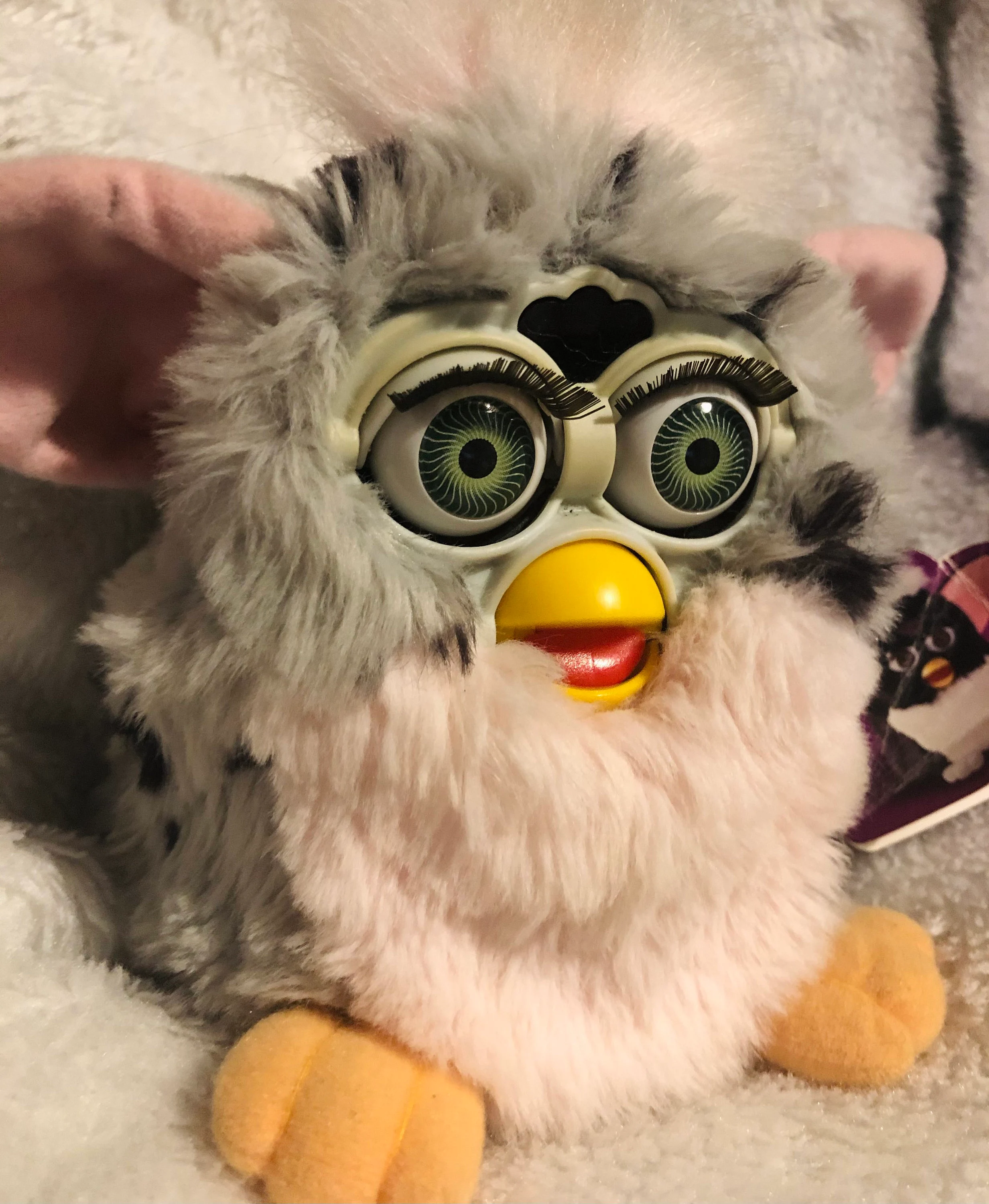 1. Furbies