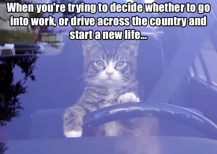 Decisions