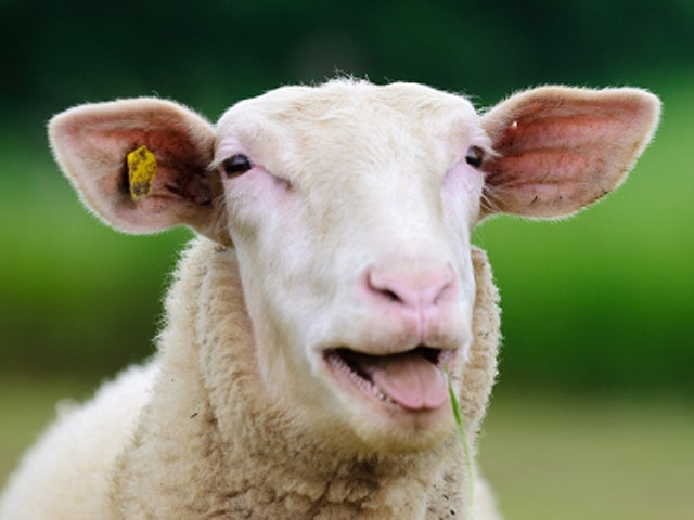 25 Bizarre Medical Practices From History That Actually Happened - Kate ...