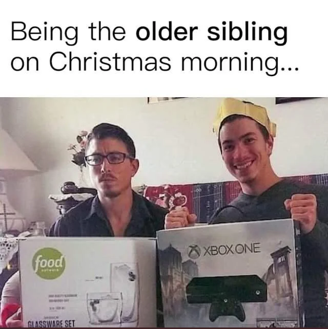 28 Memes That Perfectly Capture the Oldest Sibling Ex…