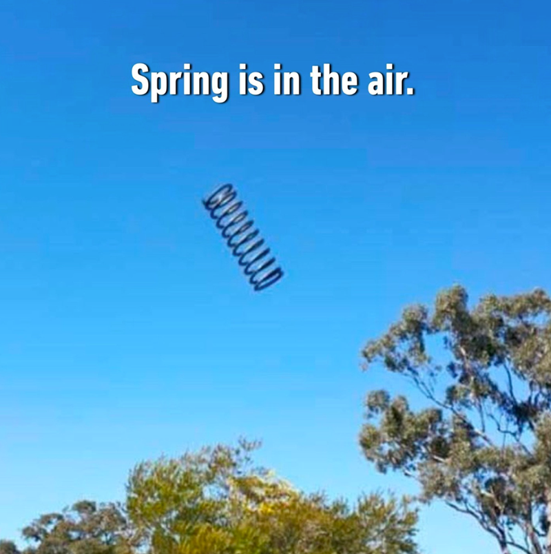 30 Spring Memes That Get the Seasonal Struggle - Kate Knows