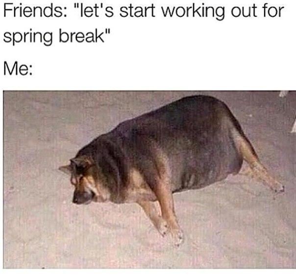 30 Spring Break Memes for People Who Need A Vacation – Garlic Soda