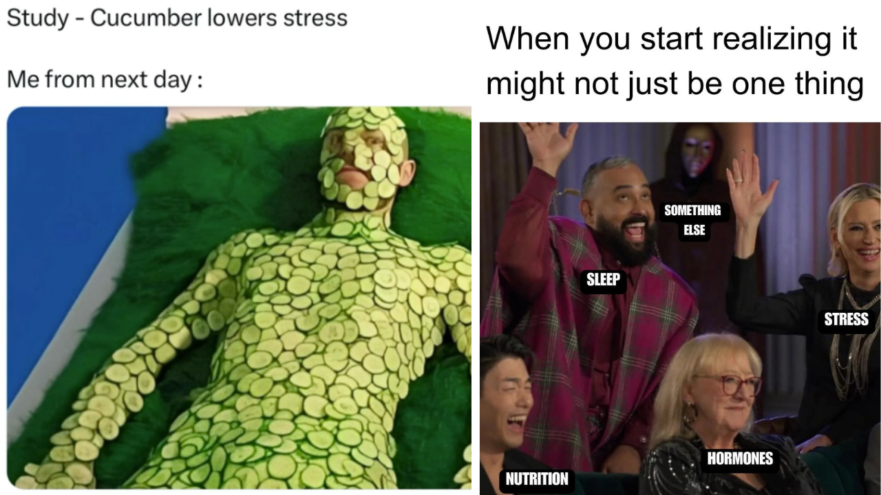 30 Stress Memes For Anyone Hanging On By A Thread Garlic Soda 30-stress-memes-for-anyone-hanging-on-by-a-thread-garlic-soda
